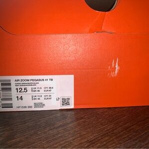 Nike Pegasus 41 brand new in box size 12.5